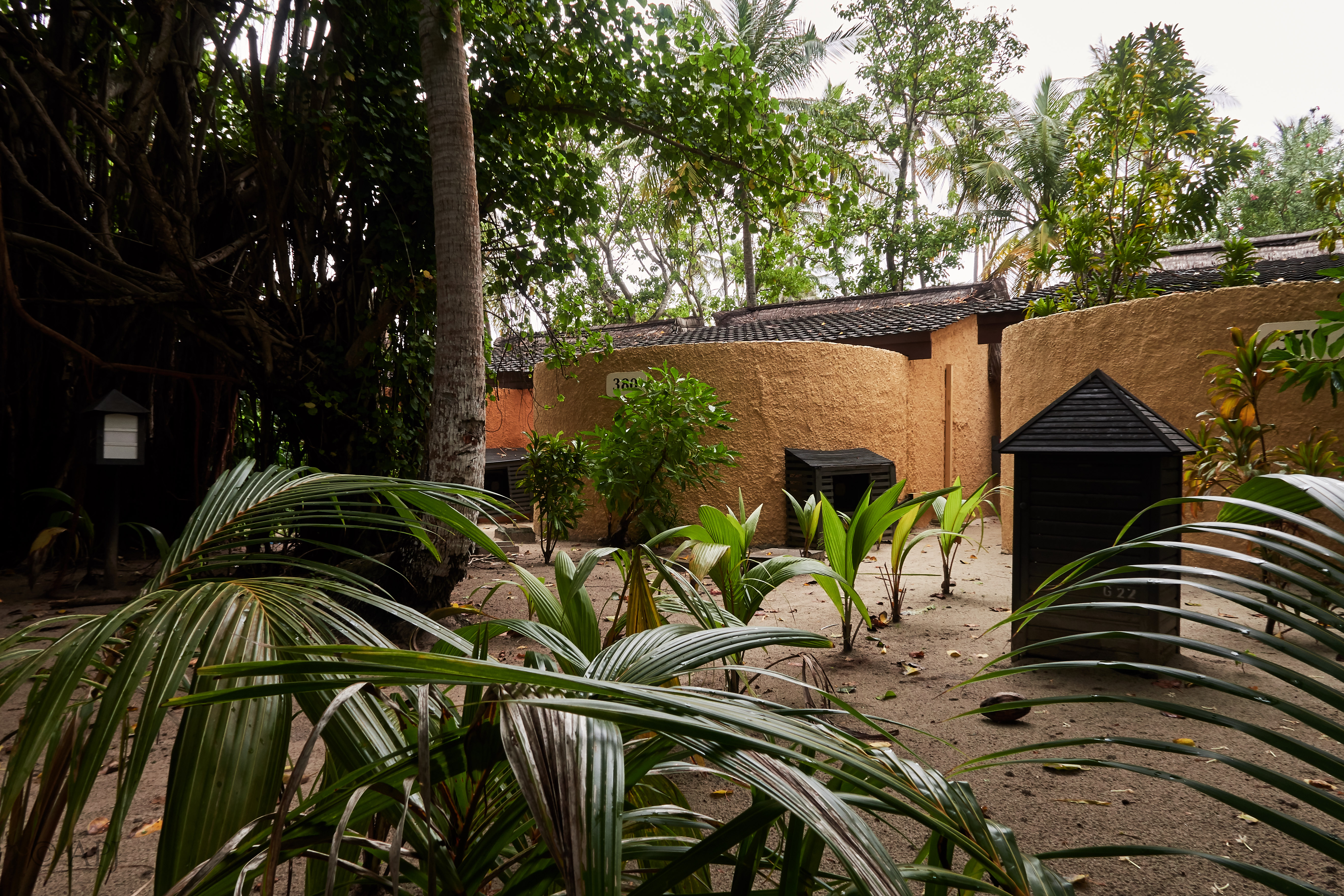 003440 22 08 17  Canon PowerShot G7 X Mark II   Malediven2017